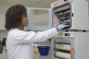 Laboratório de Biotecnologia/Banco de Imagens EEL