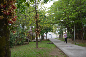 Rampa Área I Campus USP de Lorena. Foto: Simone Colombo