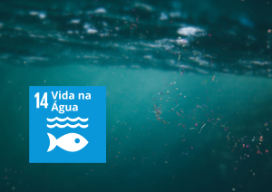 Vida na Água.