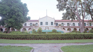Foto: USP Ribeirão Preto - USP Imagens - Banco de imagens da USP