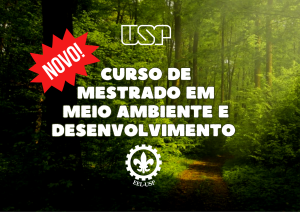 Curso Mestrado