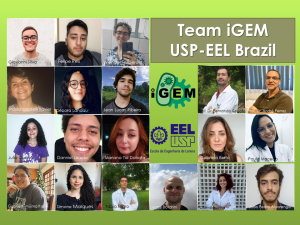 TeamiGEMEEL. Arte . Simone Colombo