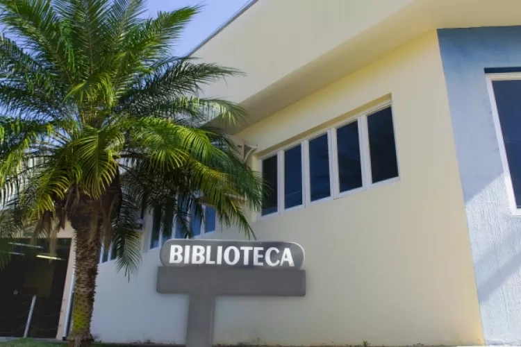 Bibliotecas - Área I