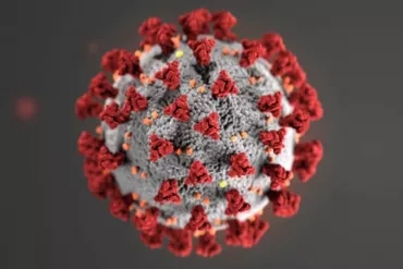 Foto: Jornal da USP : https://jornal.usp.br/ciencias/ciencias-da-saude/usp-cultiva-amostra-de-coronavirus-em-laboratorio-para-distribuir-a-rede-de-saude/?fbclid=IwAR3ugzM1TkZ2s7xysQaeVJmYC61dCOu4v1E5JEdf6w44_YZvhOOp1K7vSDg