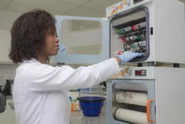 Laboratório de Biotecnologia/Banco de Imagens EEL