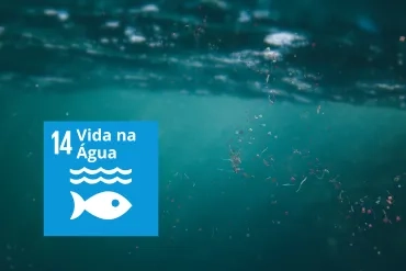 Vida na Água.