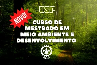 Curso Mestrado