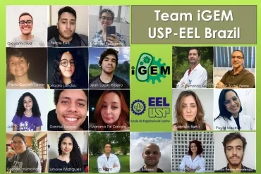TeamiGEMEEL. Arte . Simone Colombo